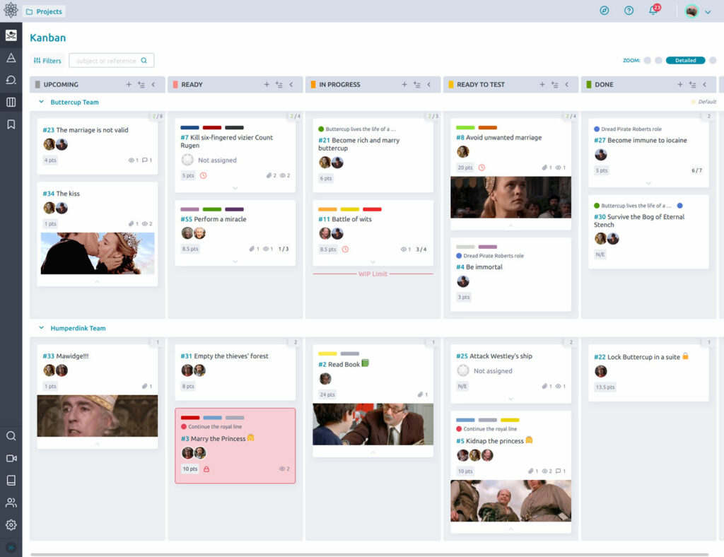 Taiga user interface